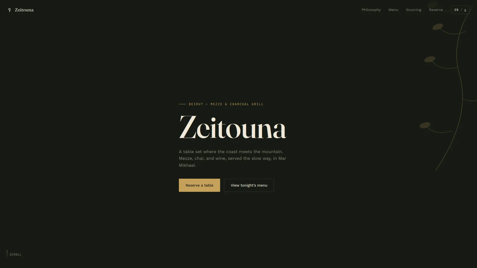 Zeitouna homepage hero section